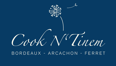 logo-cnt cnt