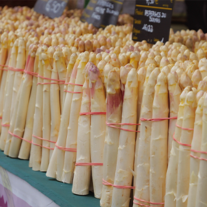 Photo asperges blanches FAB